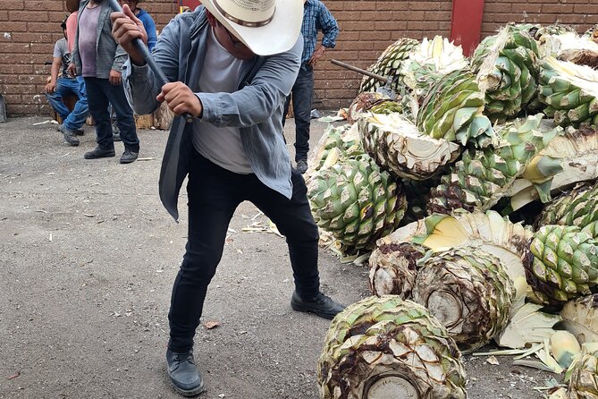 Tradicional Mezcal Experience in Oaxaca-Visit a Family Distillery - A tasting that can reach 14 mezcals