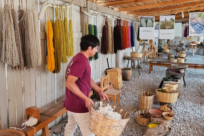 Traditional Market ,Widest Tree, Artisanal Textiles, Mezcal Magic - Timing, comfort, and the shape of the day
