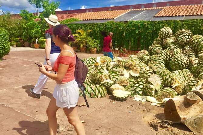 Traditional Market ,Widest Tree, Artisanal Textiles, Mezcal Magic - Teotitlán del Valle and the work behind the wool