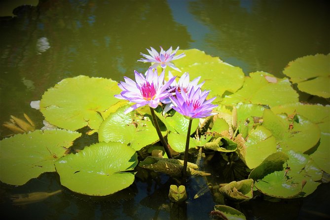 Vallarta Botanical Garden and Tequila Tasting from Puerto Vallarta - Is the six-hour schedule realistic?