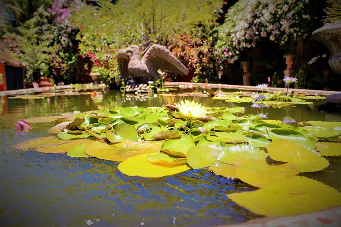Vallarta Botanical Garden and Tequila Tasting from Puerto Vallarta - Who should book this experience?