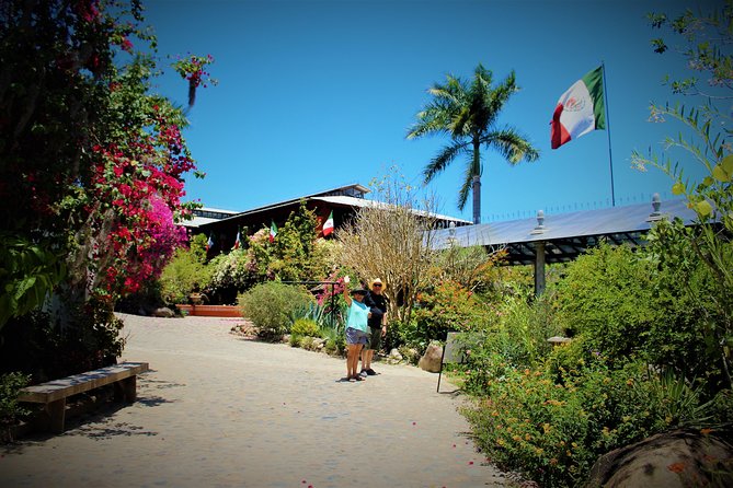Vallarta Botanical Garden and Tequila Tasting from Puerto Vallarta - Exploring Vallarta Botanical Garden
