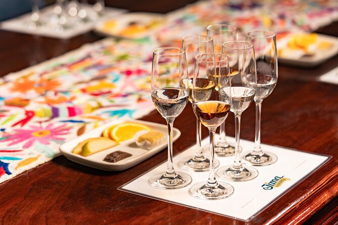 Vip Tequila Experience - Tequila fields and photo stops