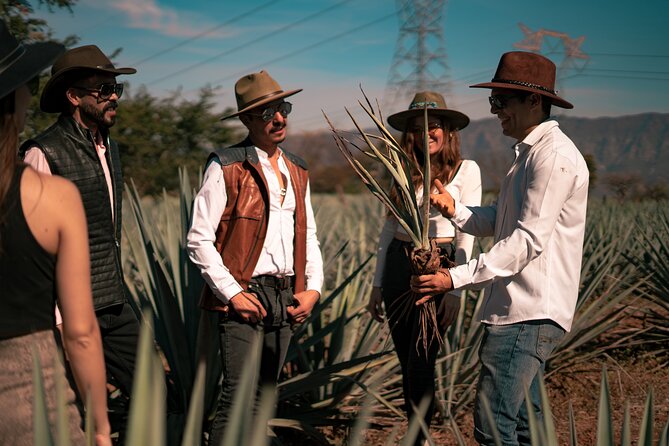 Vip Tequila Experience - Walking around the town of Tequila