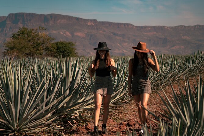 Vip Tequila Experience - What the VIP label means in practice
