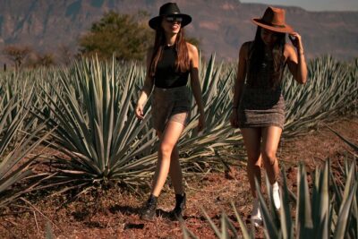 VIP Tequila Night Tour with Dinner and Tasting