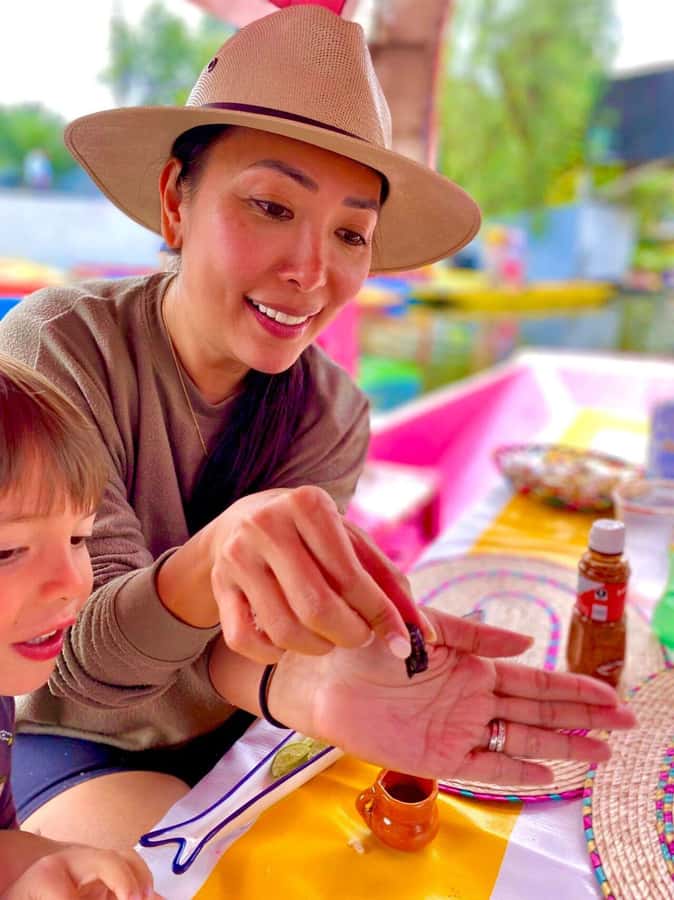 Xochimilco's Wild Side: Mezcal, Insects & Culture - A traditional trajinera through the canals