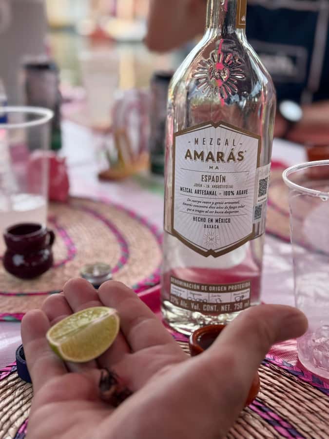 Xochimilco's Wild Side: Mezcal, Insects & Culture - What the $27 price includes