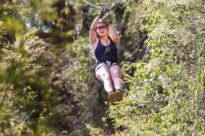 Ziplines and mezcal tasting - Key details at a glance